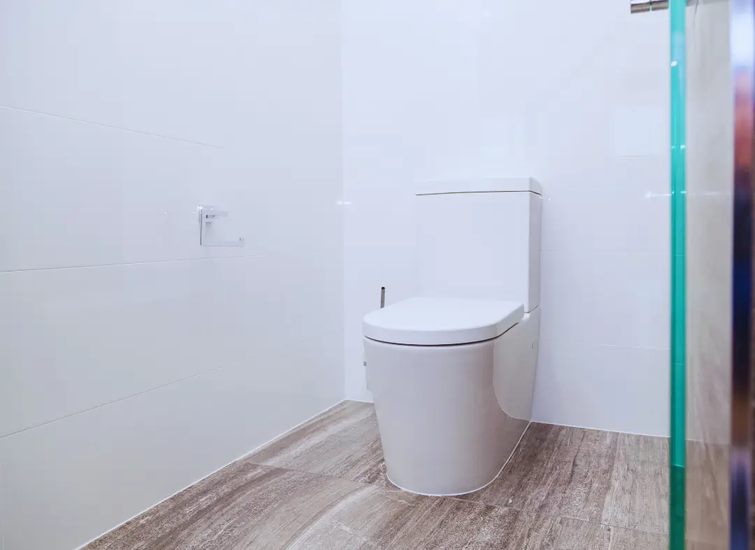 Remplacement de wc Thouaré-sur-Loire